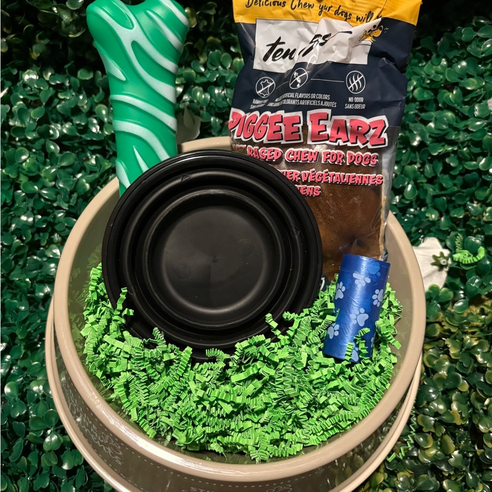Pet Feeder Set with Green Chew Toy and Black Bowl